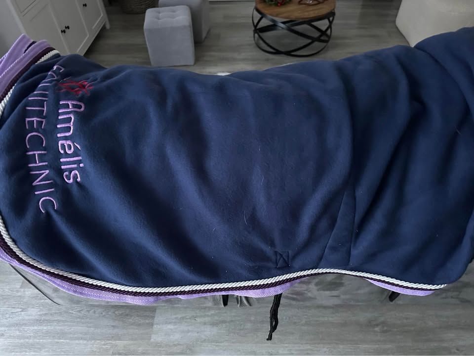 Lot Equitation ou � l'unit� 85 Ch�tillon-sur-Loire (45)