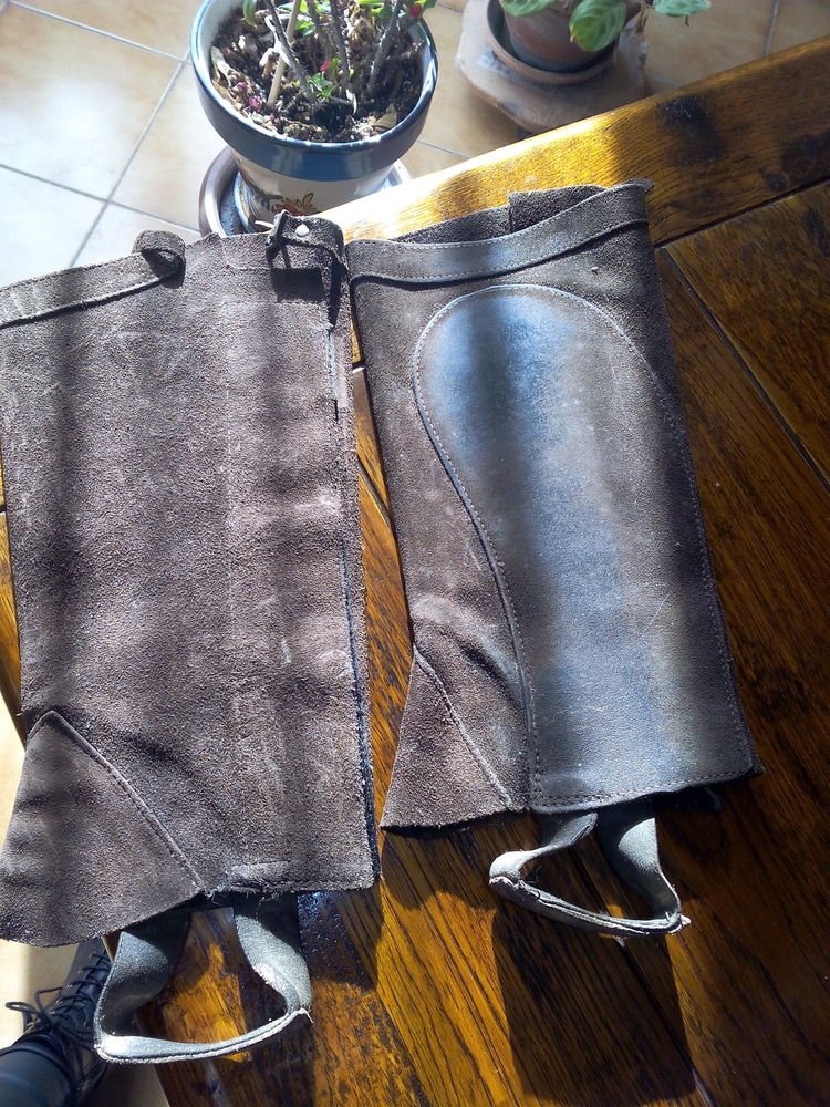 �quitation 6 Seyresse (40)