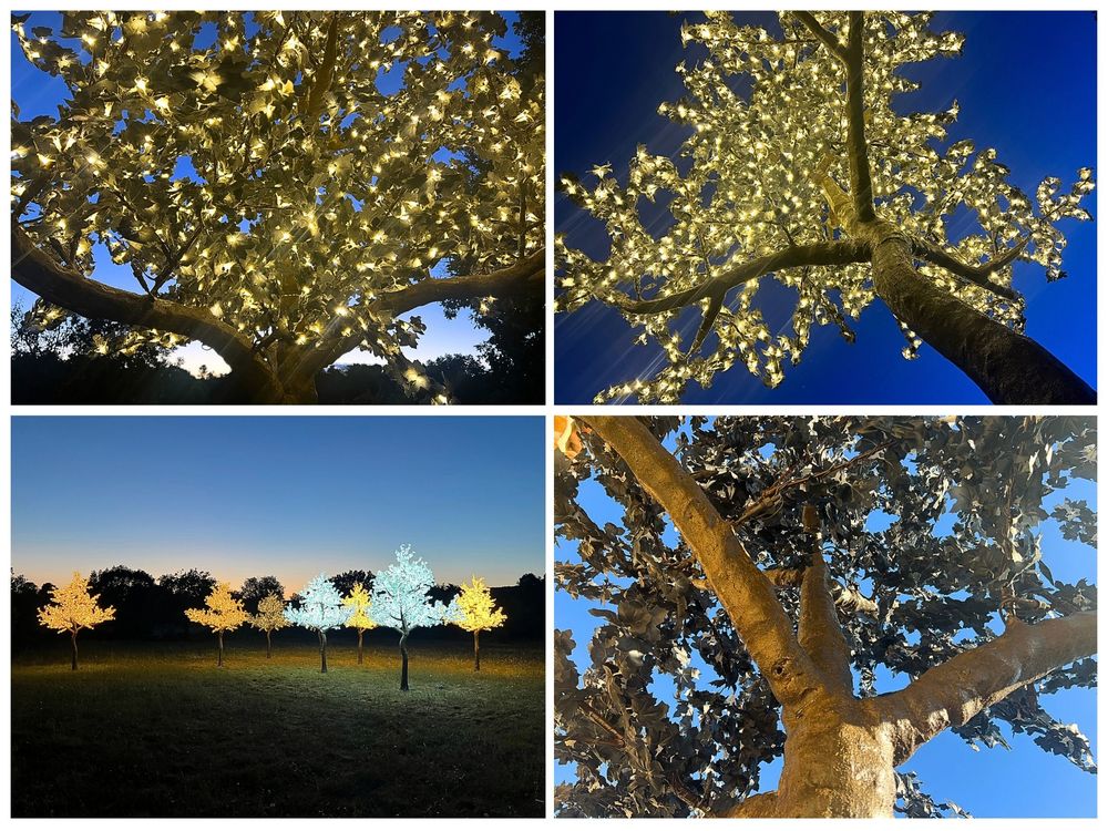 ERABLE ARTIFICIEL LUMINEUX  GEANT 4,50 M ? D�STOCKAGE 1390 Saint-Maximin-la-Sainte-Baume (83)