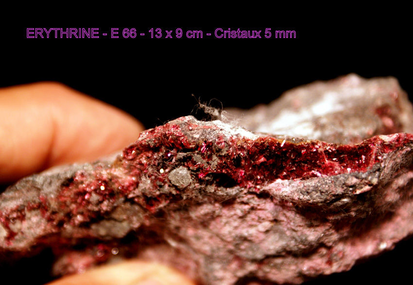 ERYTHRINE - MINERAUX DE COLLECTION 120 Saint-M�dard (16)