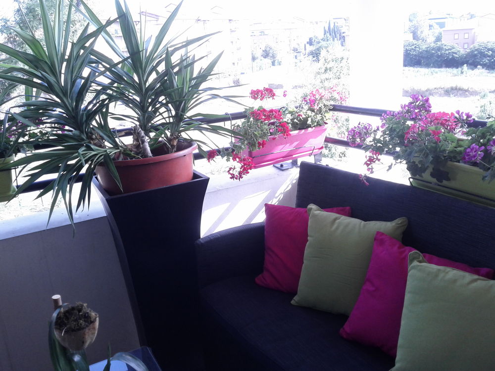 Mon espace d�tente complet pour cet �t� 125 Beauzelle (31)