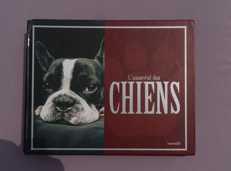 L'essentiel des Chiens - Novedit 9 Saint-Vivien (17)