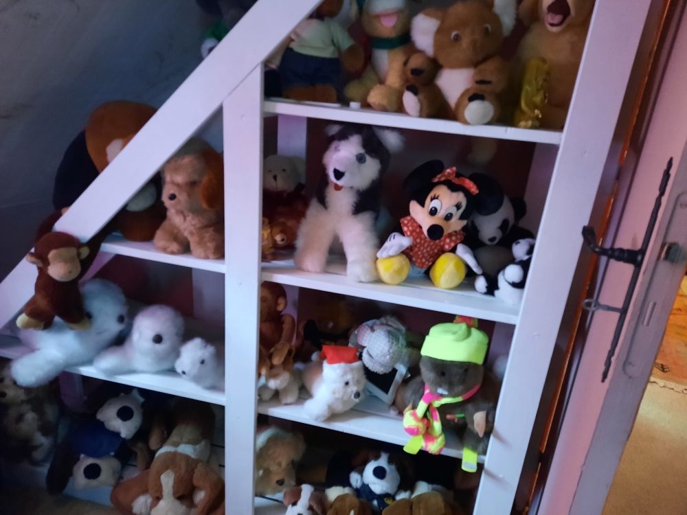 etagere ou biblioth�que en pin blanche 65 Caug� (27)