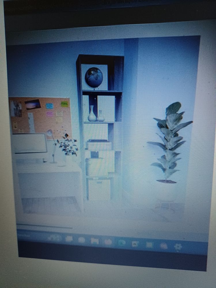 Etag�re biblioth�que 30 Goupilli�res (27)