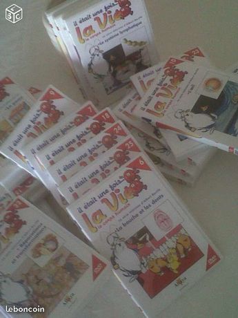 Lot de DVD  Il �tait une fois la vie  110 Carcassonne (11)