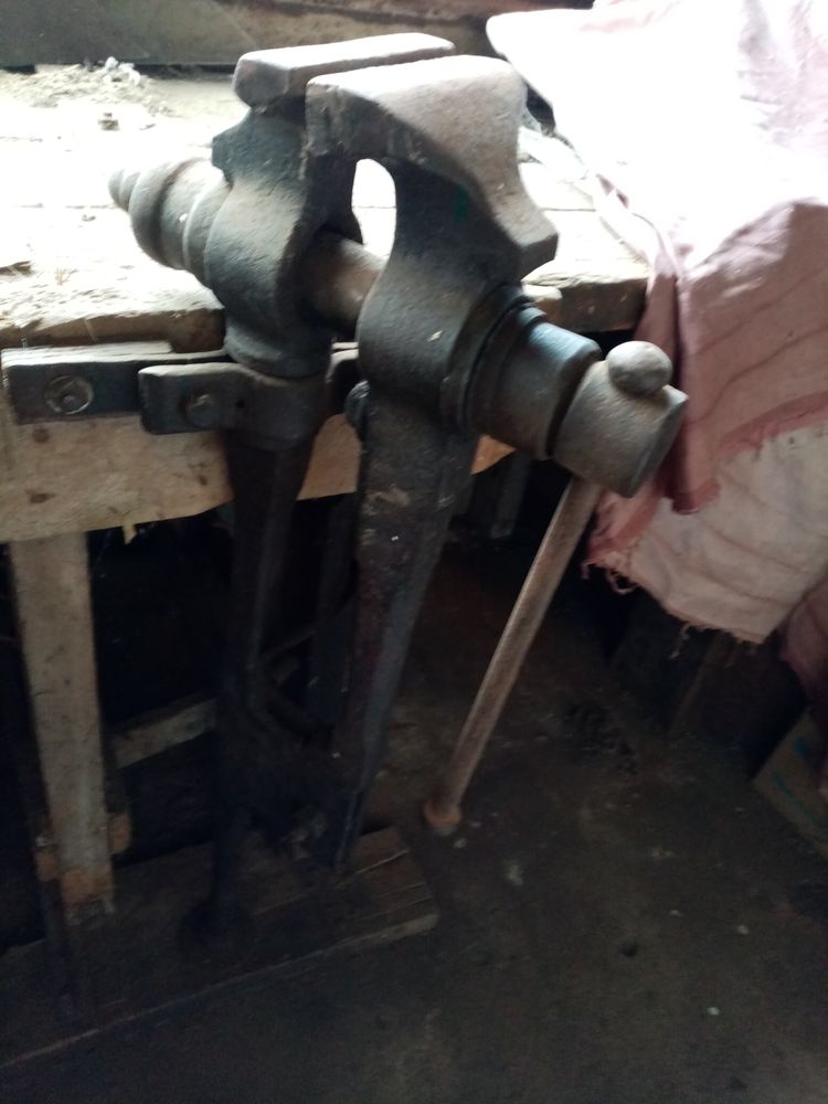 ETAU SUR PIED 60 Berck (62)