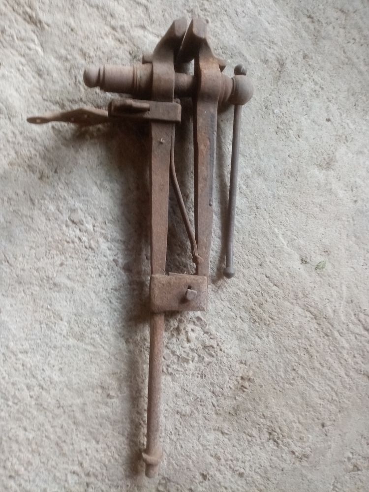 Etau sur pied 150 Clermont-en-Argonne (55)