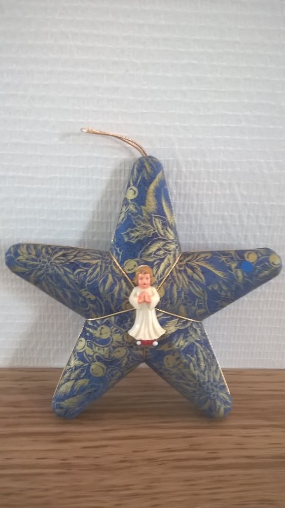 ETOILE DE NOEL 5 Saint-Yrieix-sur-Charente (16)