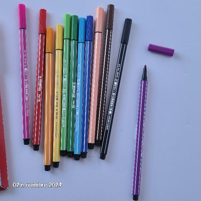 Etui en carton de 12 feutres adulte Stabilo, pointe moyenne 9 Saumur (49)