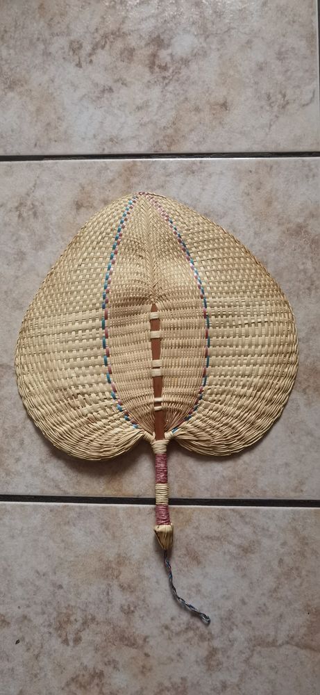 �ventail De Palmier Naturel 8 Dijon (21)