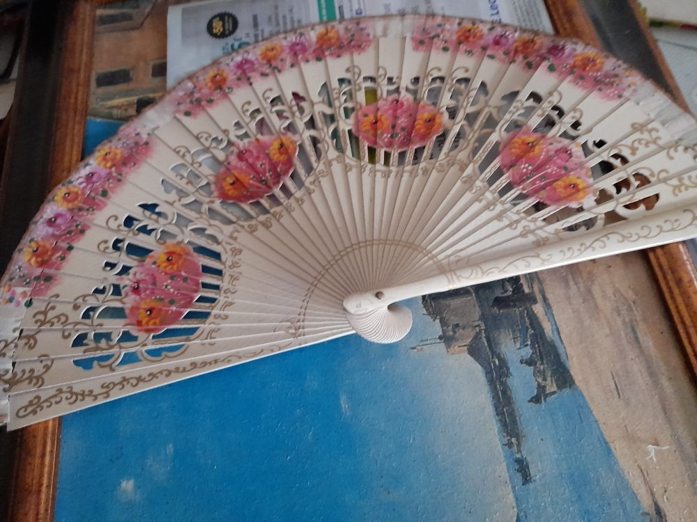 �ventail 40 Anga�s (64)