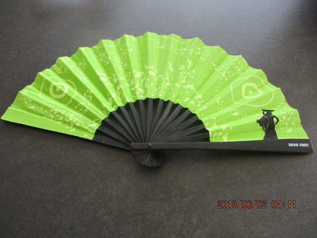 Eventail 10 Castres (81)