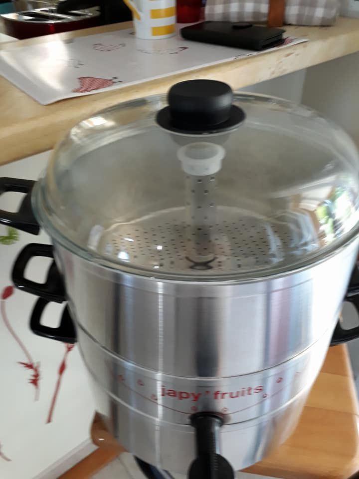 Mode Demploi Extracteur De Jus Japy Fruits