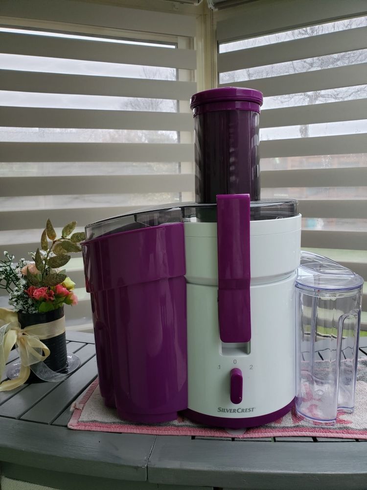 extracteur de jus 35 Bohars (29)