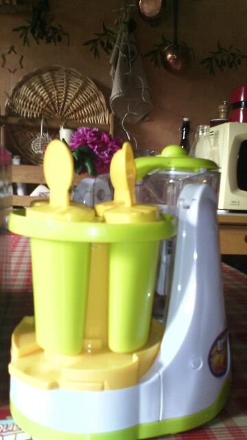 Fabrique de sorbets et smoothie pour enfants 
30 La Motte-Servolex (73)