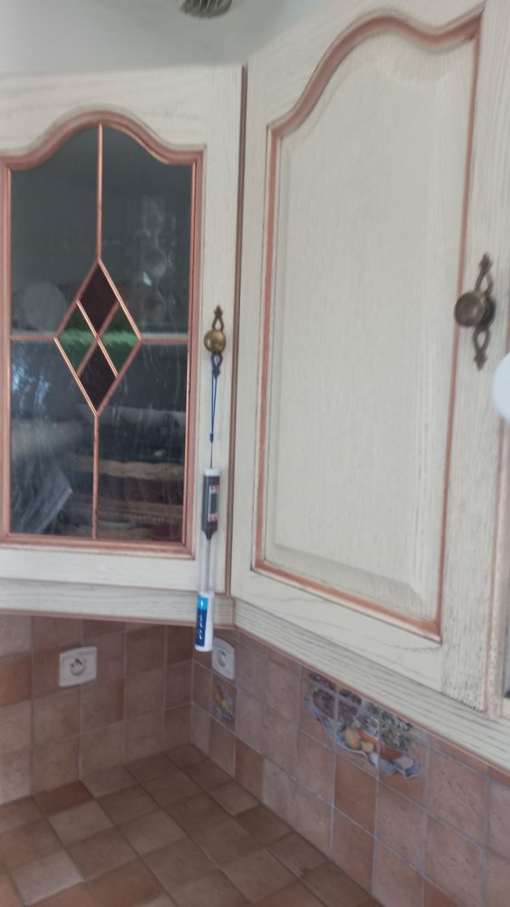 fa�ade cuisine 0 Asni�res-sur-V�gre (72)