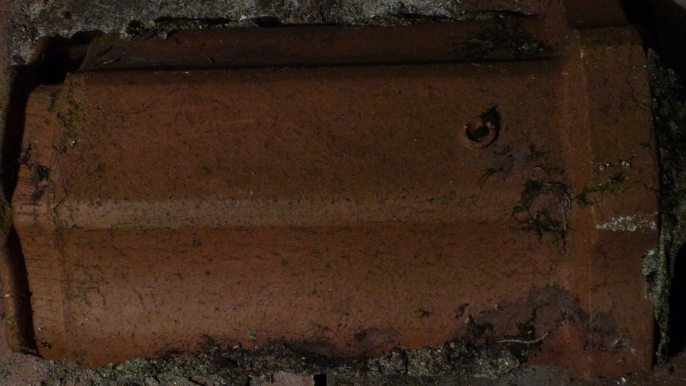 4 faitieres perrusson xx�me 15 �cuisses (71)