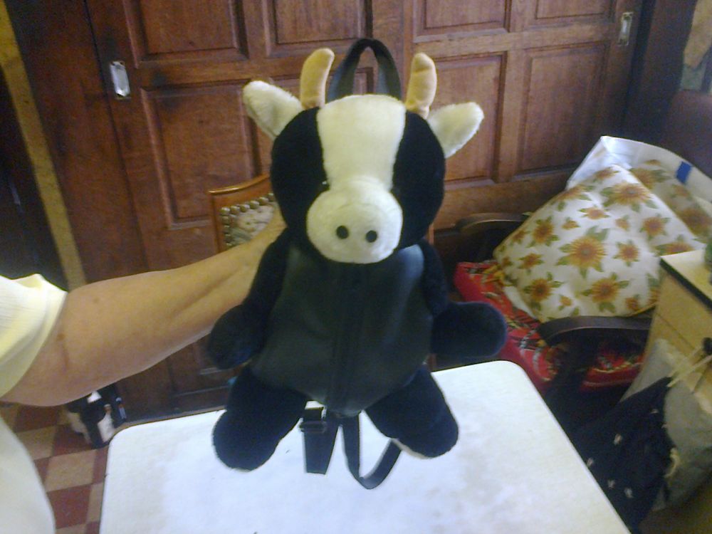 sac fantaisie 25 Formerie (60)