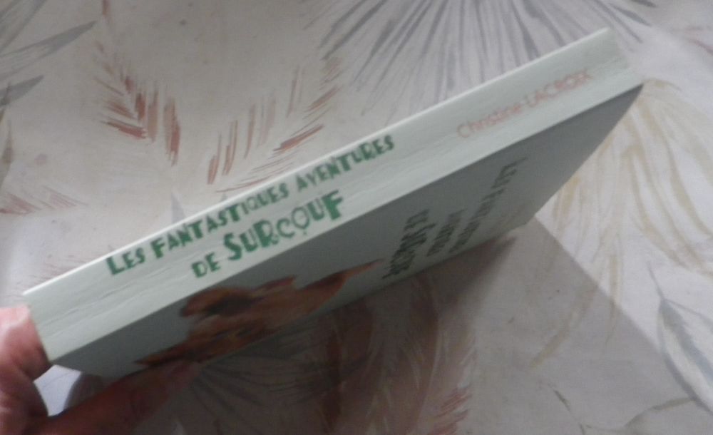 LES FANTASTIQUES AVENTURES DE SURCOUF de Christine LACROIX 3 Bubry (56)