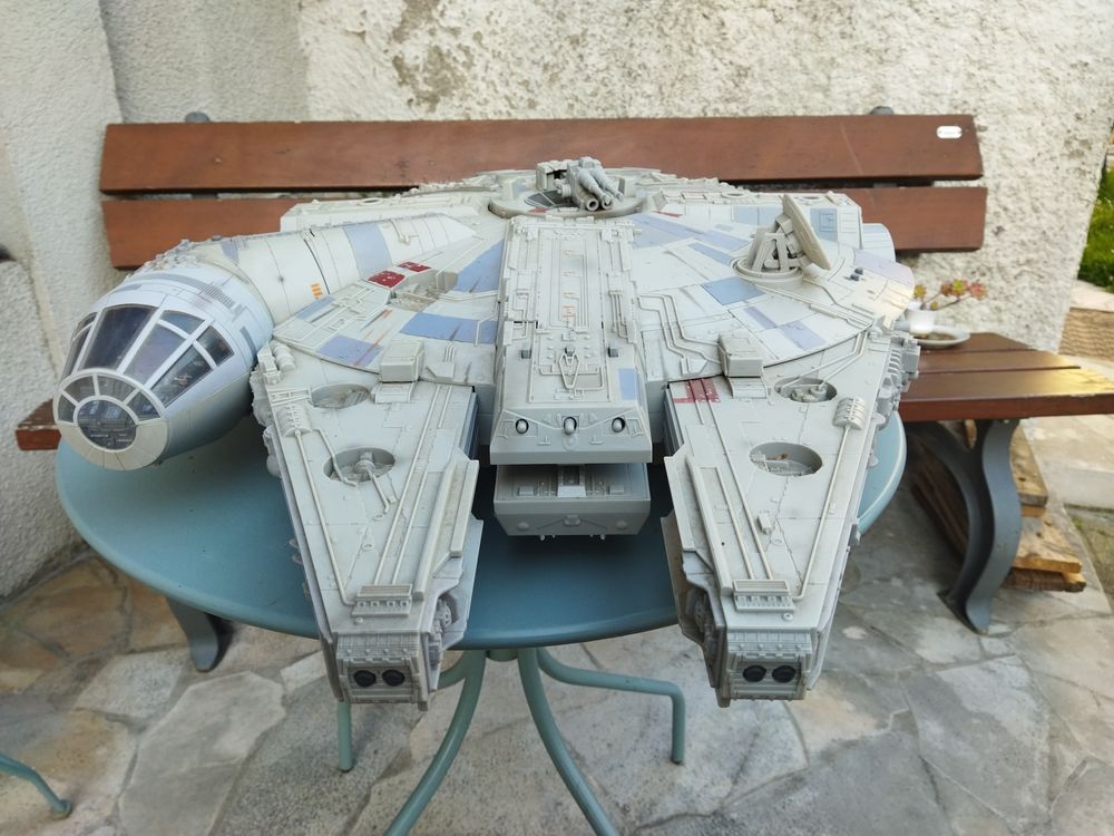 Faucon millenium 1000 Aureilhan (65)