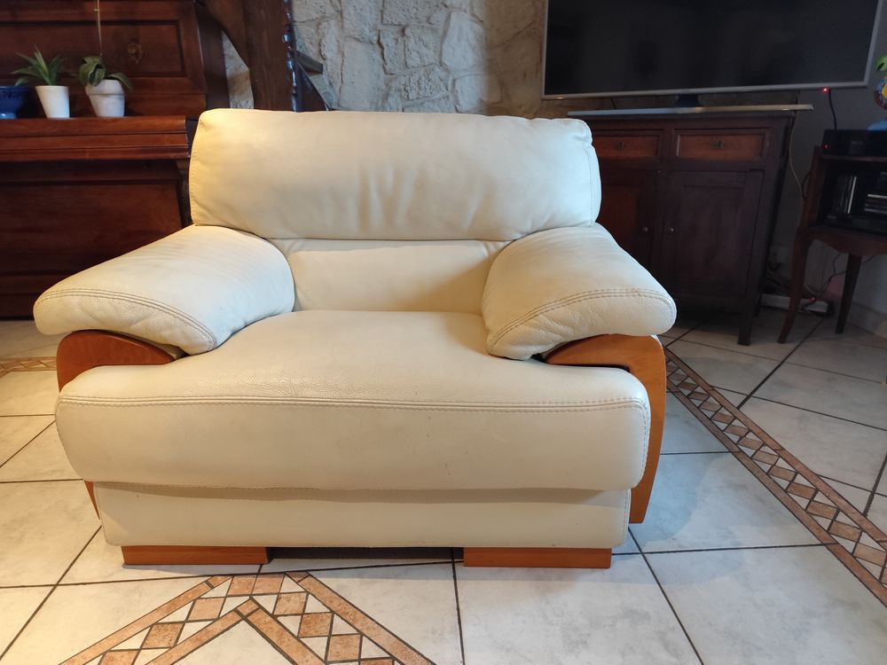 Fauteuil Alaska en cuir fleur buffle 100 Audincourt (25)
