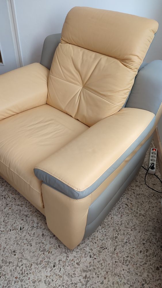 Fauteuil ch�teau d ax 300 Pulnoy (54)