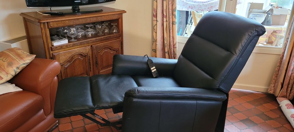 Fauteuil  confort m�dicalis� 150 Roche-lez-Beaupr� (25)