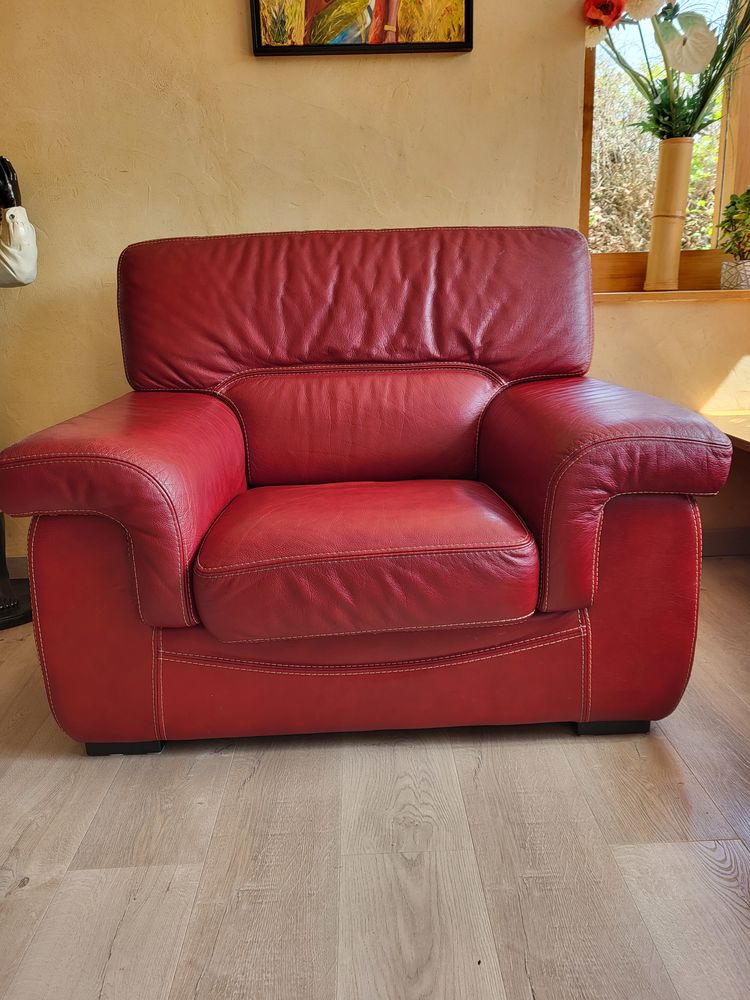 Fauteuil en cuir bordeaux (buffle)  
105 Nanteuil-l�s-Meaux (77)