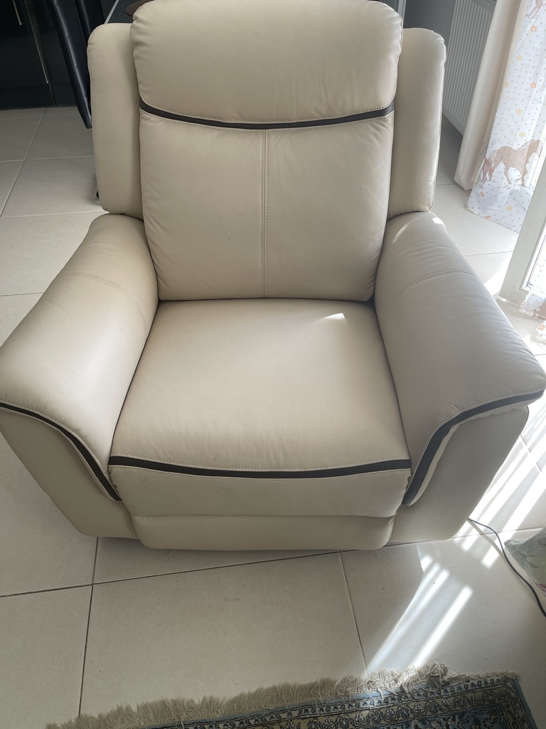 Fauteuil en cuir de buffle 320 La Chapelle-en-Serval (60)