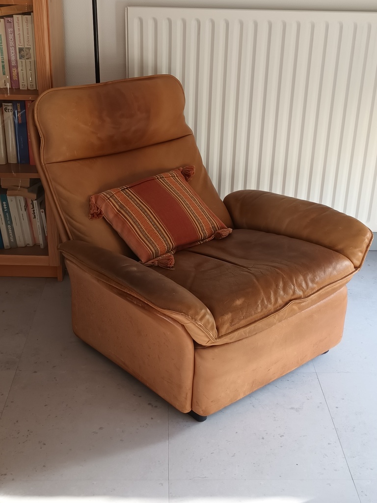 Fauteuil  en Cuir Caramel 100 P�rigny (17)
