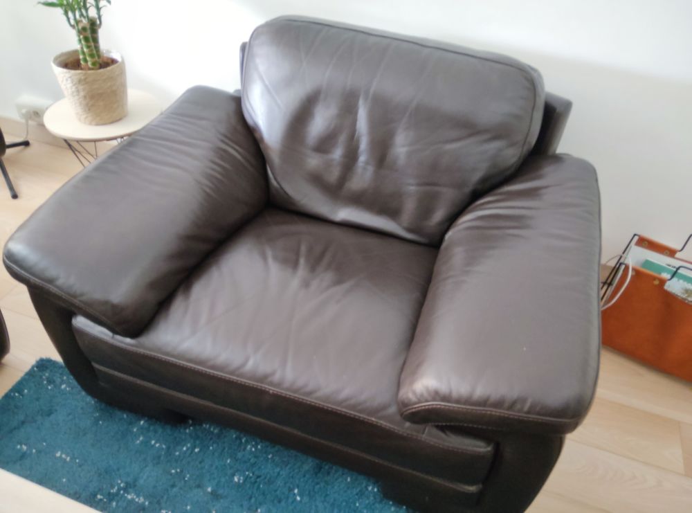 fauteuil cuir parfait �tat 50 �ragny (95)