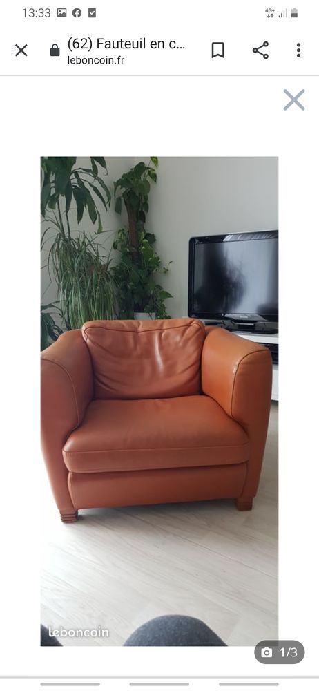 Fauteuil  cuir Roche Bobois 0 Serris (77)