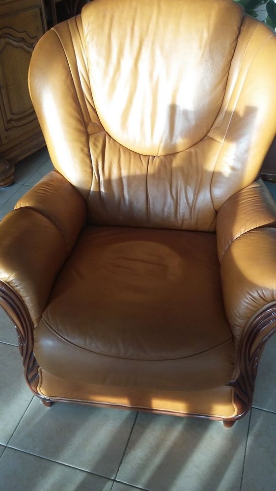 FAUTEUIL CUIR VACHETTE 35 Saint-Laurent-du-Var (06)