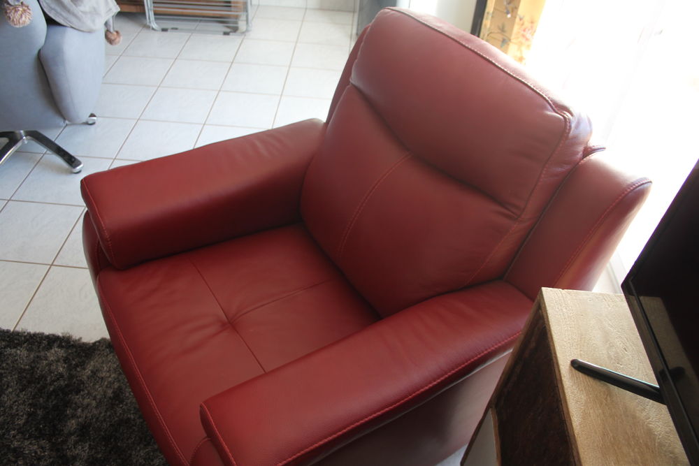 fauteuil cuir vachette 100 Onet-le-Ch�teau (12)