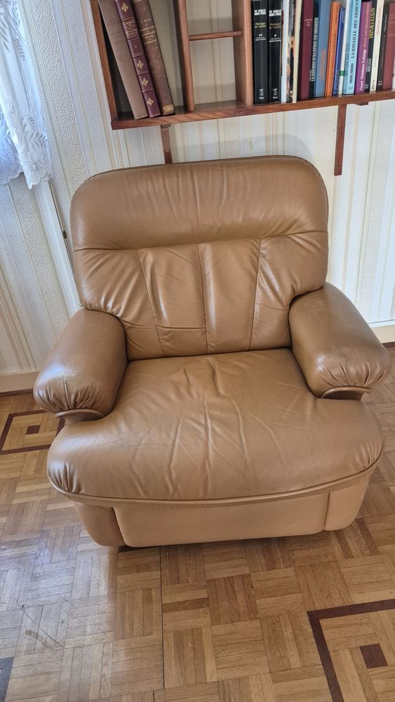 Fauteuil cuir vintage 30 Perthes (52)