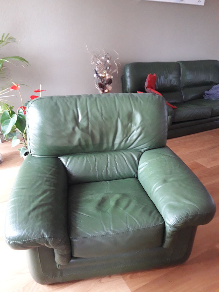 Fauteuil cuir 50 Saint-�tienne (42)