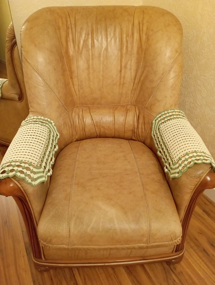 Fauteuil cuir 35 Mareil-sur-Loir (72)