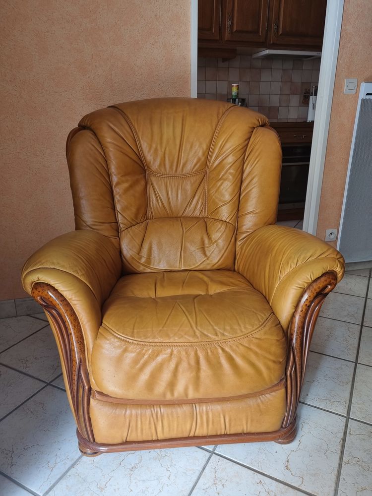 fauteuil cuir 150 Le M�e-sur-Seine (77)