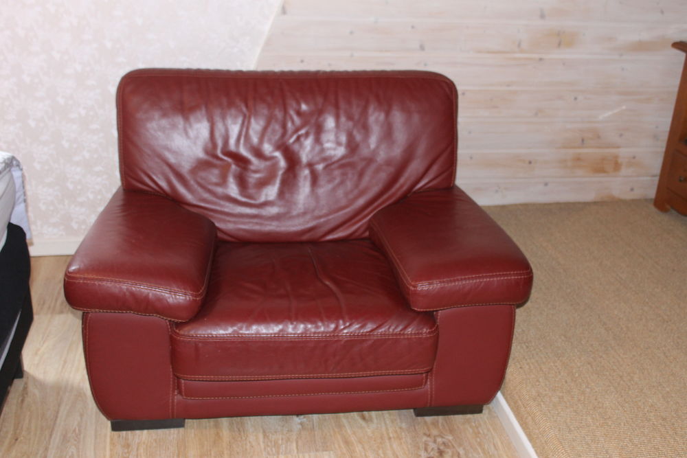 fauteuil cuir 60 Taulignan (26)
