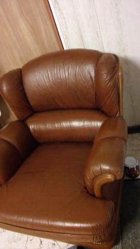 fauteuil cuir 0 Petite Synthe (59)