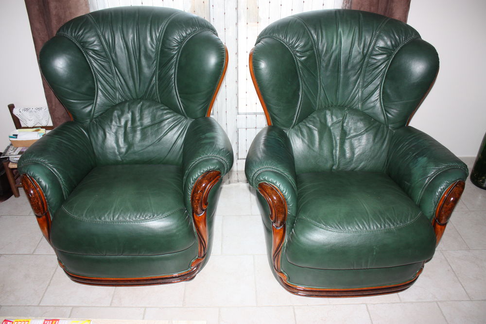 fauteuil cuir 100 Chouzy-sur-Cisse (41)