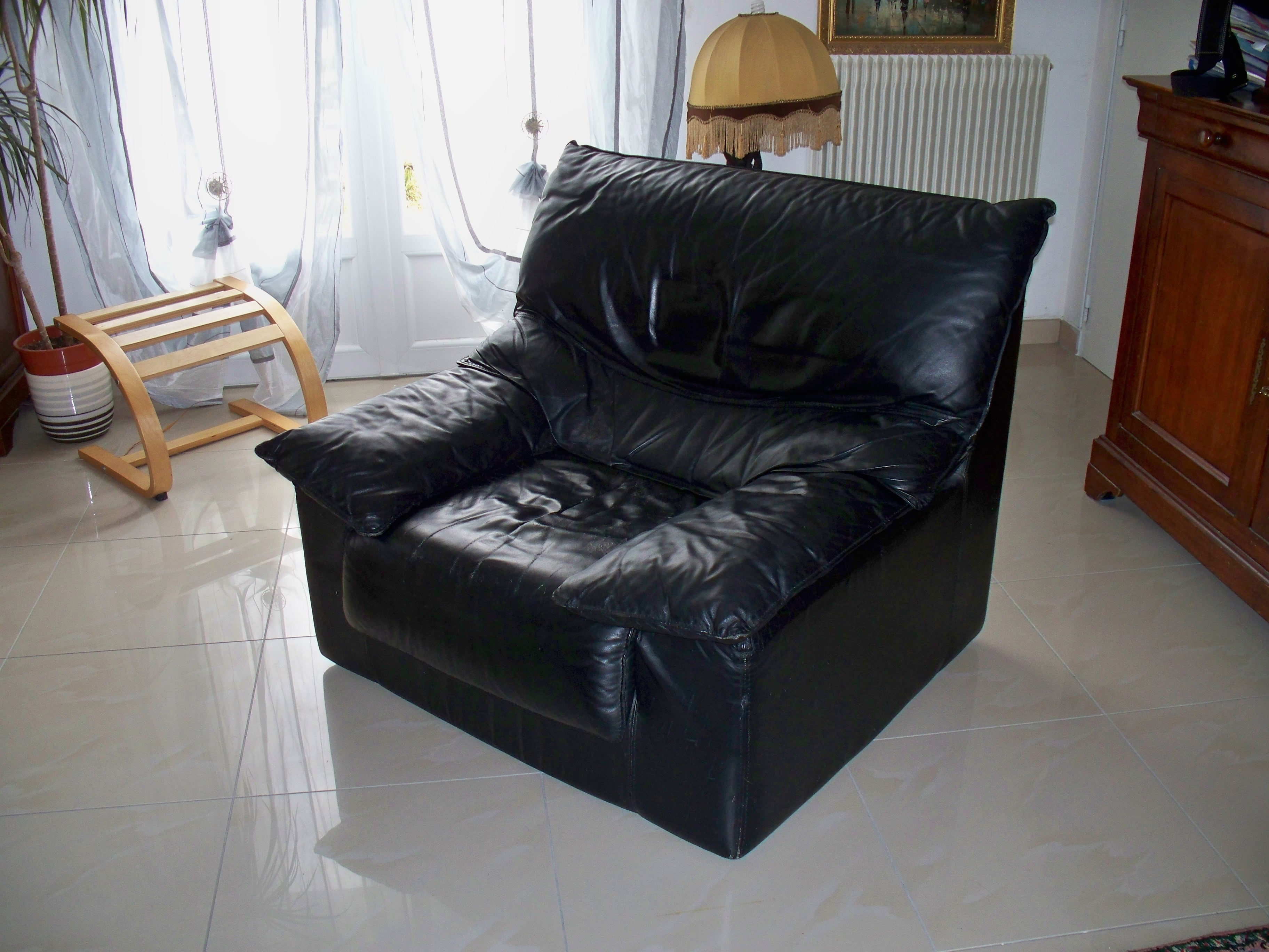 Fauteuil cuir 90 Verneuil-l'�tang (77)