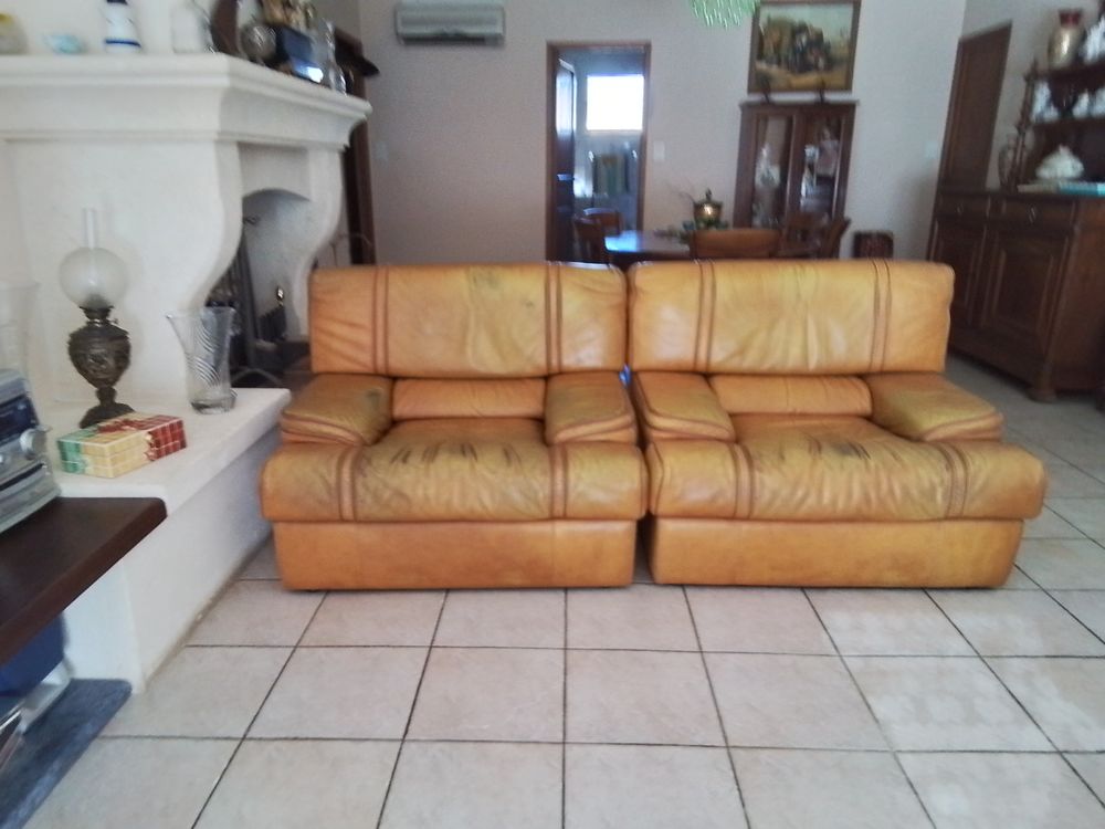 Fauteuil cuir 200 Frontignan (34)