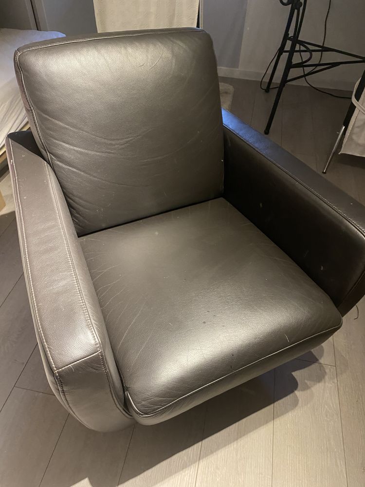 fauteuil cuir 40 Richwiller (68)