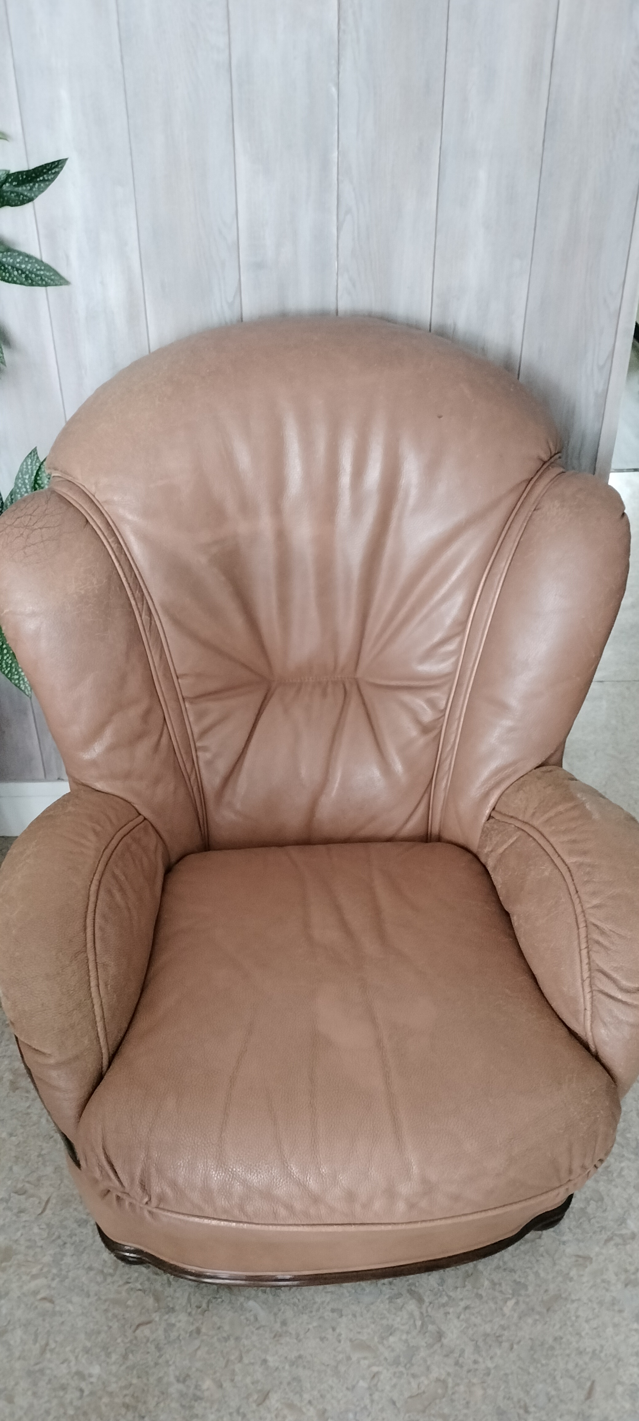 Fauteuil cuir 40 Saint-Hilaire (38)