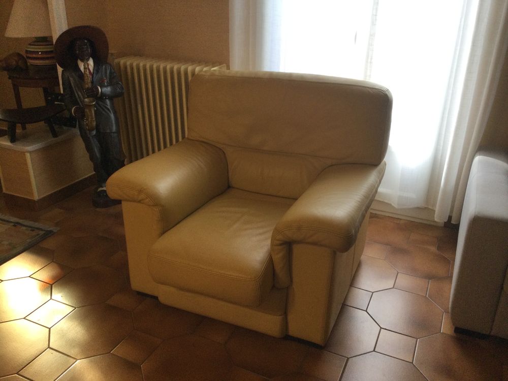 Fauteuil cuir 100 B�ziers (34)