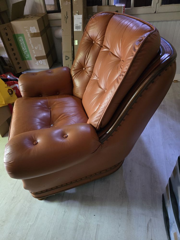 Fauteuil en cuir 35 Pringy (74)