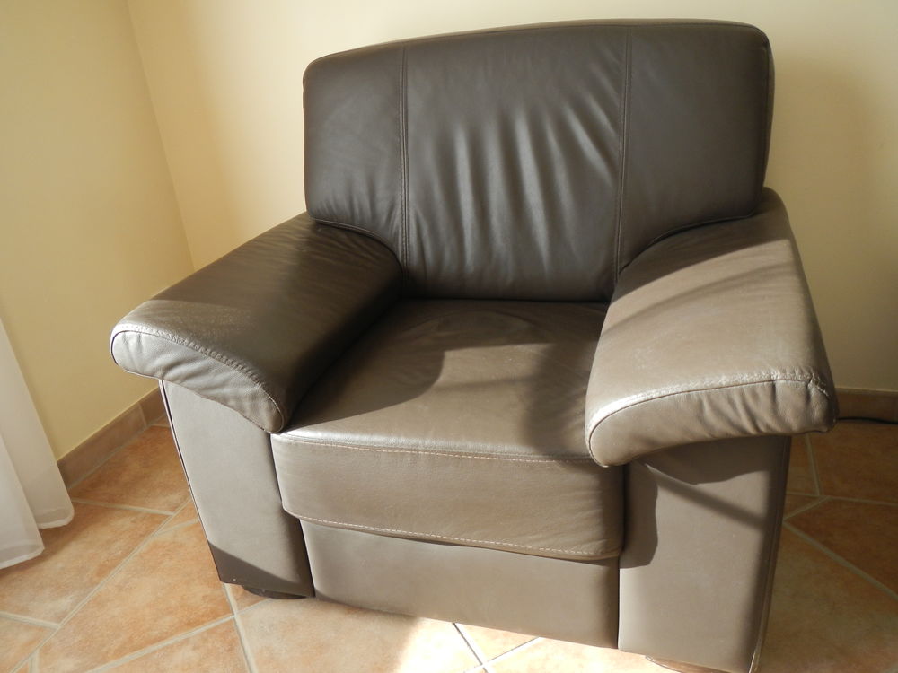 fauteuil cuir 100 Le Puy-Sainte-R�parade (13)