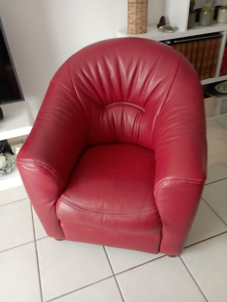 Fauteuil cuir 200 Donzac (82)