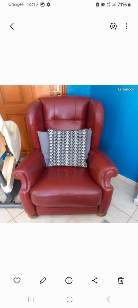 fauteuil cuir 120 Seilh (31)